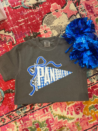 Panthers 2T-3X pennant tee